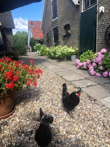 B&B De Beijersche Stee, Logies Aan De Waterkant Stolwijk Εξωτερικό φωτογραφία